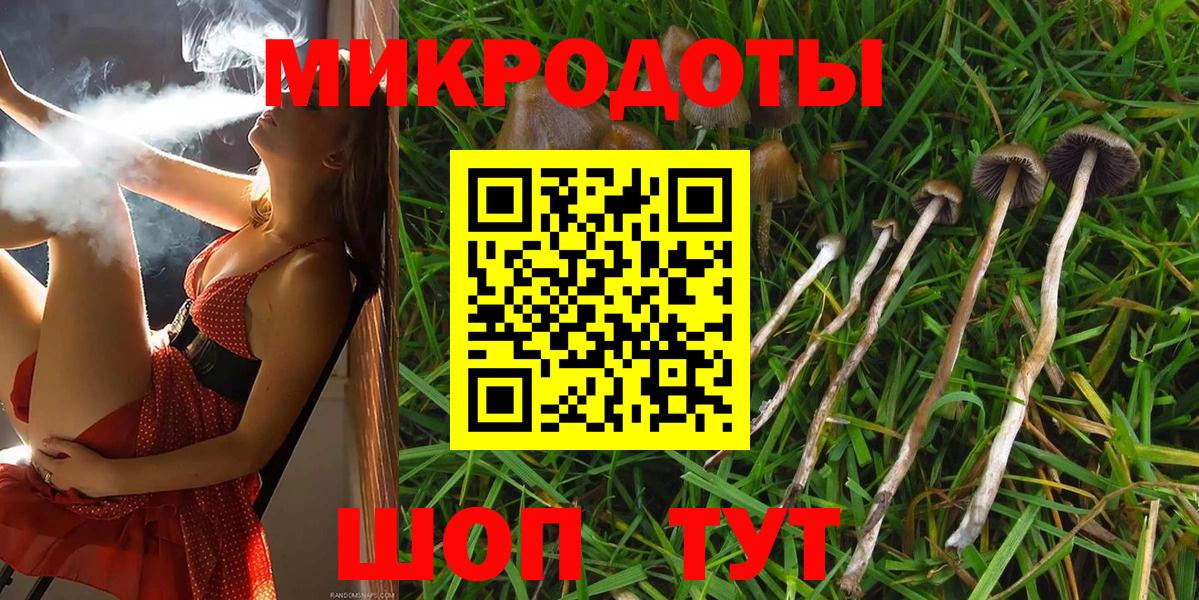 Псилоцибиновые грибы MAGIC MUSHROOMS Баксан